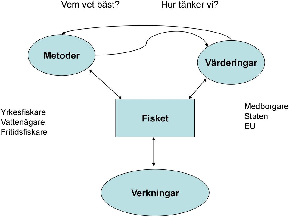 Yrkesfiskare Vattenägare