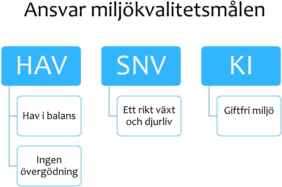 Ett rikt växt och djurliv