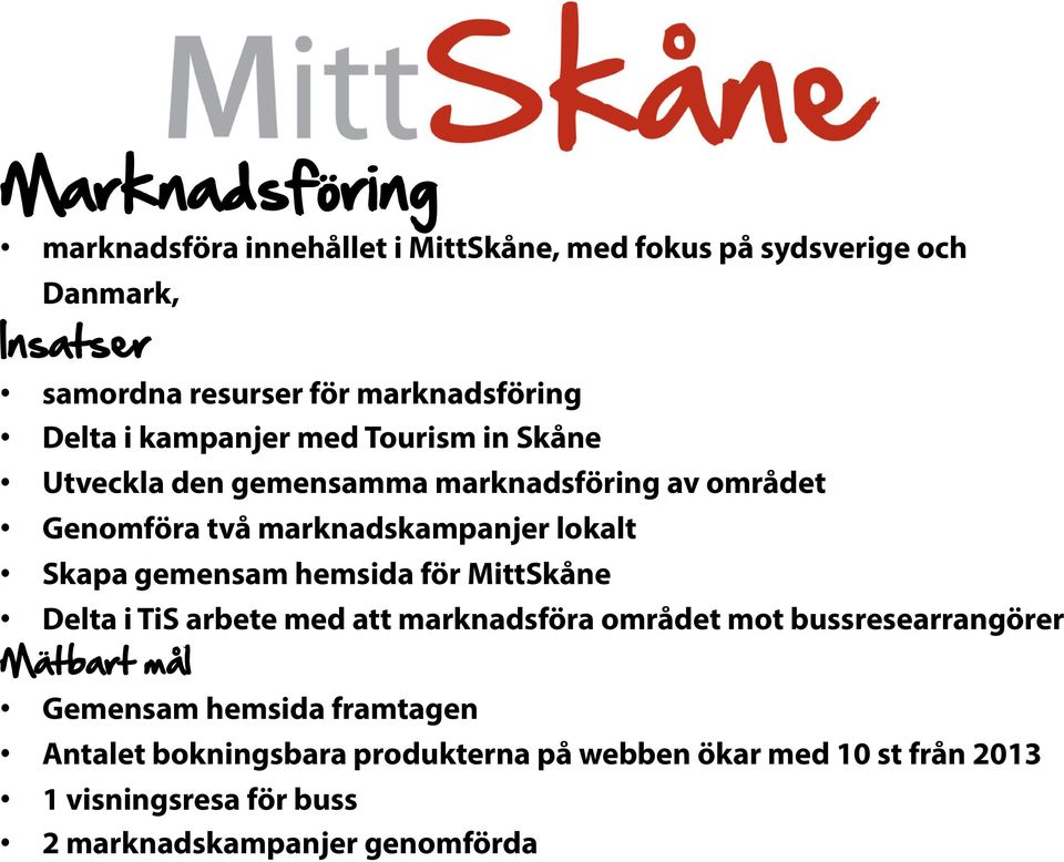 Skapa gemensam hemsida för MittSkåne Delta i TiS arbete med att marknadsföra området mot bussresearrangörer Mätbart mål Gemensam