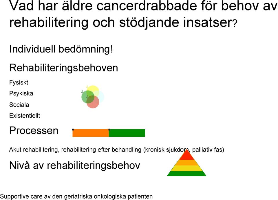 Rehabiliteringsbehoven Fysiskt Psykiska Sociala Existentiellt Processen