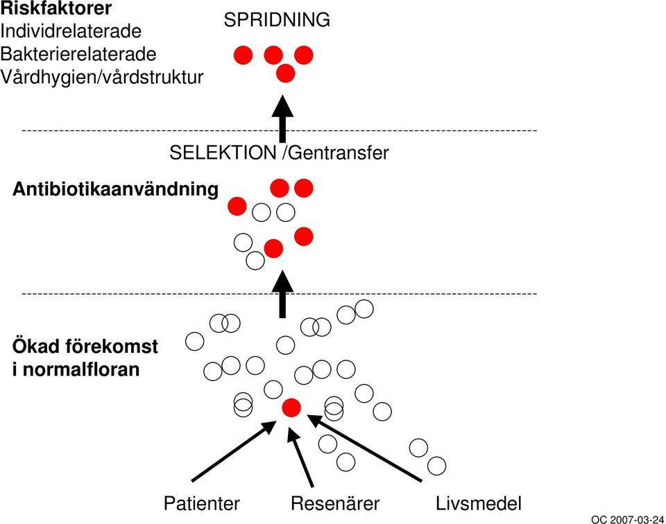 Antibiotikaanvändning SELEKTION /Gentransfer Ökad