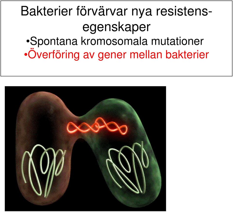 Spontana kromosomala