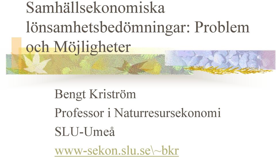 Möjligheter Bengt Kriström