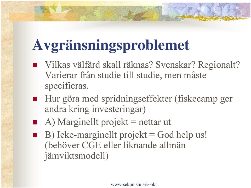 Hur göra med spridningseffekter (fiskecamp ger andra kring investeringar) A) Marginellt