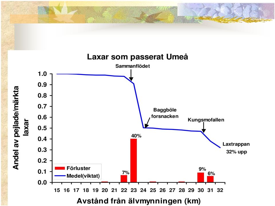 Baggböle forsnacken 15 16 17 18 19 20 21 22 23 24 25 26 27 28 29 30 31 32