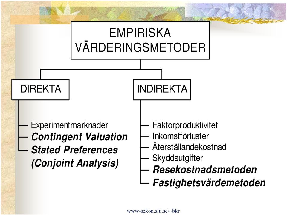 Experimentmarknader Contingent Valuation Stated Preferences