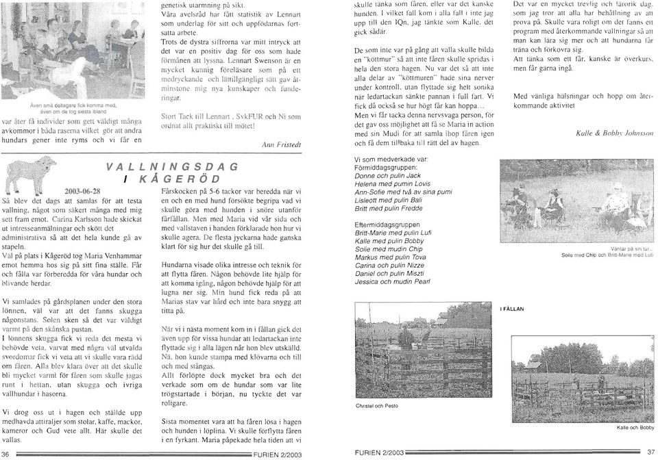 t ',:::ilii 'å'å,s 2003'06-28 Så blev det dags att samlas för att testa vallning, något som säkert många med mig sett fram emot.