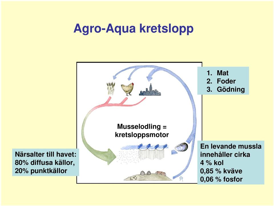 20% punktkällor Musselodling = kretsloppsmotor En