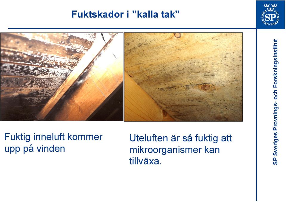 fuktig att mikroorganismer