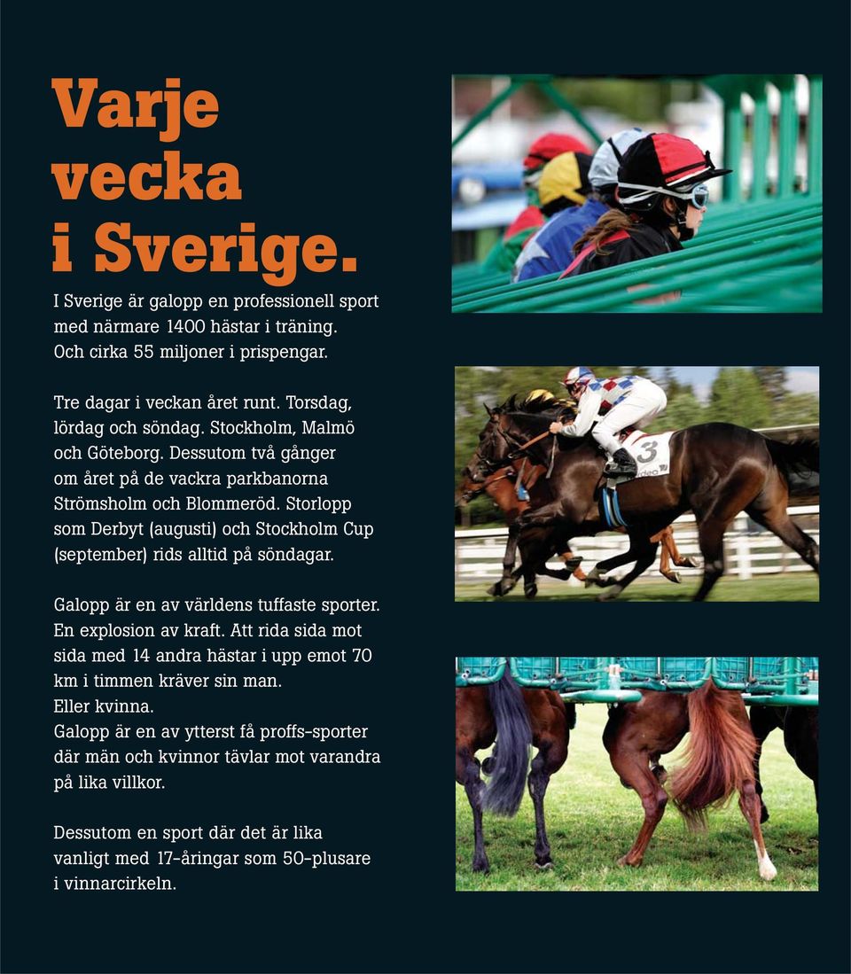 Storlopp som Derbyt (augusti) och Stockholm Cup (september) rids alltid på söndagar. Galopp är en av världens tuffaste sporter. En explosion av kraft.