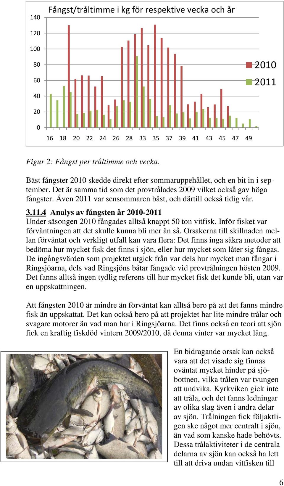 Även 2011 var sensommaren bäst, och därtill också tidig vår. 3.11.4 Analys av fångsten år 2010-2011 Under säsongen 2010 fångades alltså knappt 50 ton vitfisk.