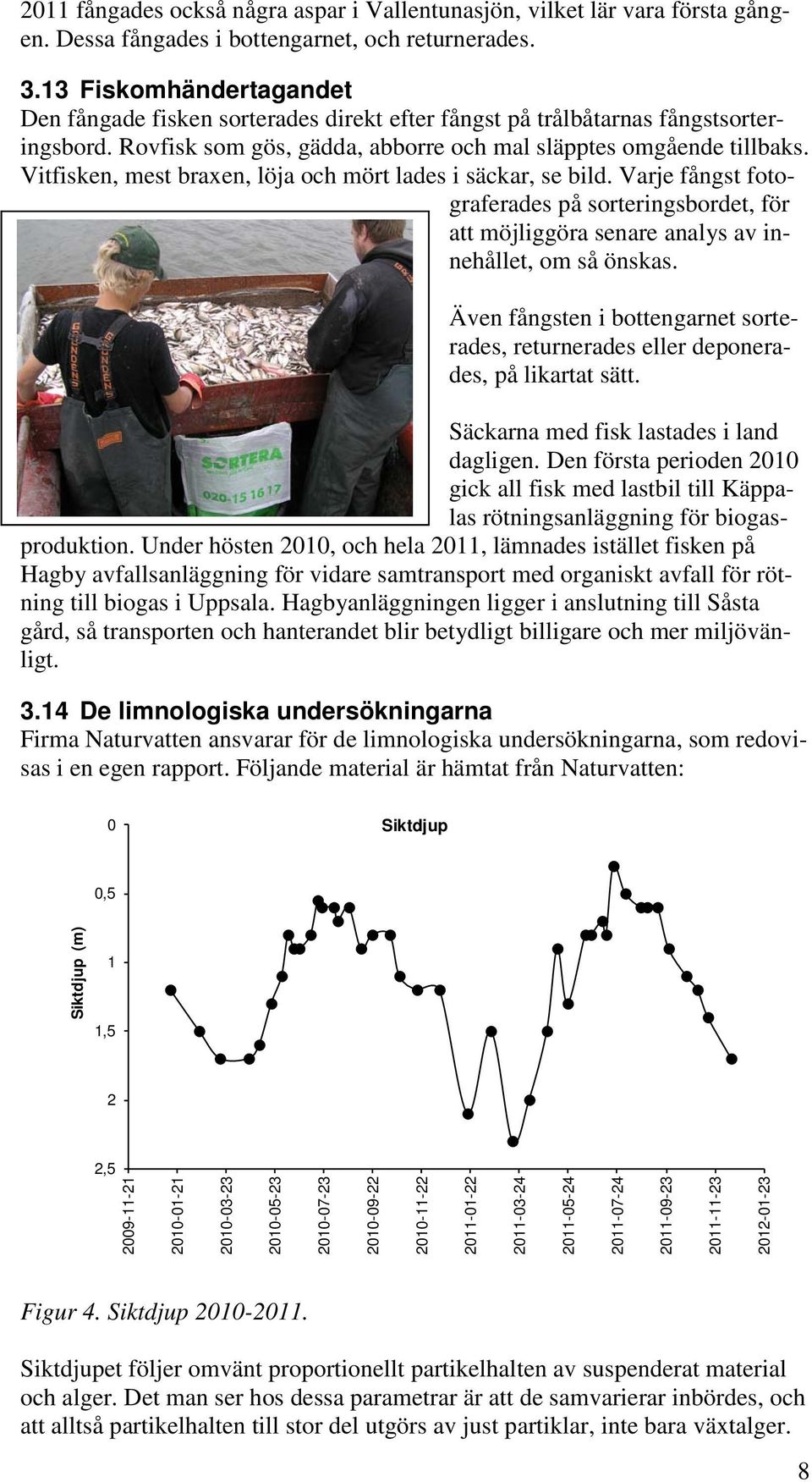 Vitfisken, mest braxen, löja och mört lades i säckar, se bild. Varje fångst fotograferades på sorteringsbordet, för att möjliggöra senare analys av innehållet, om så önskas.