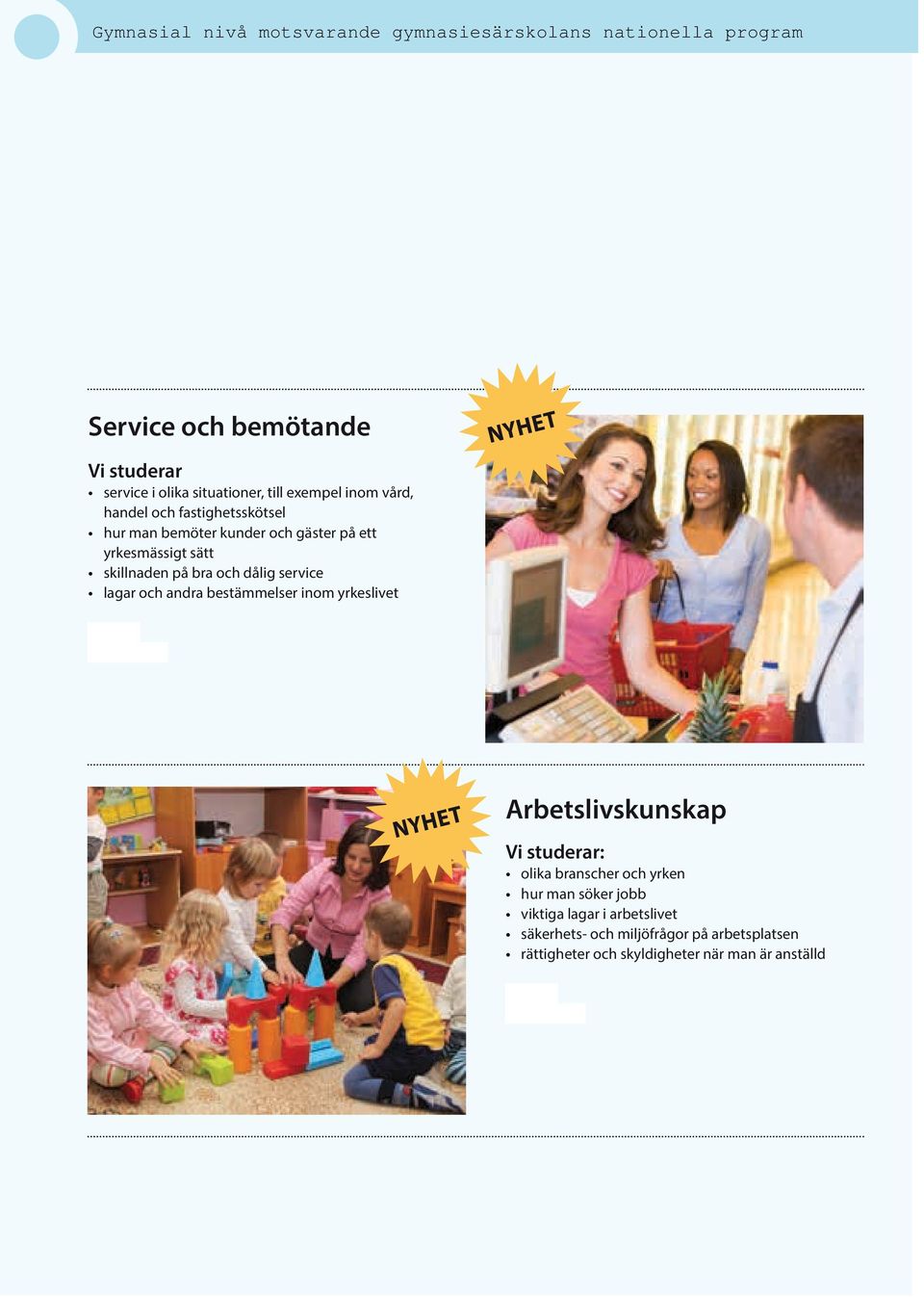 service lagar och andra bestämmelser inom yrkeslivet Arbetslivskunskap studerar: olika branscher och yrken hur