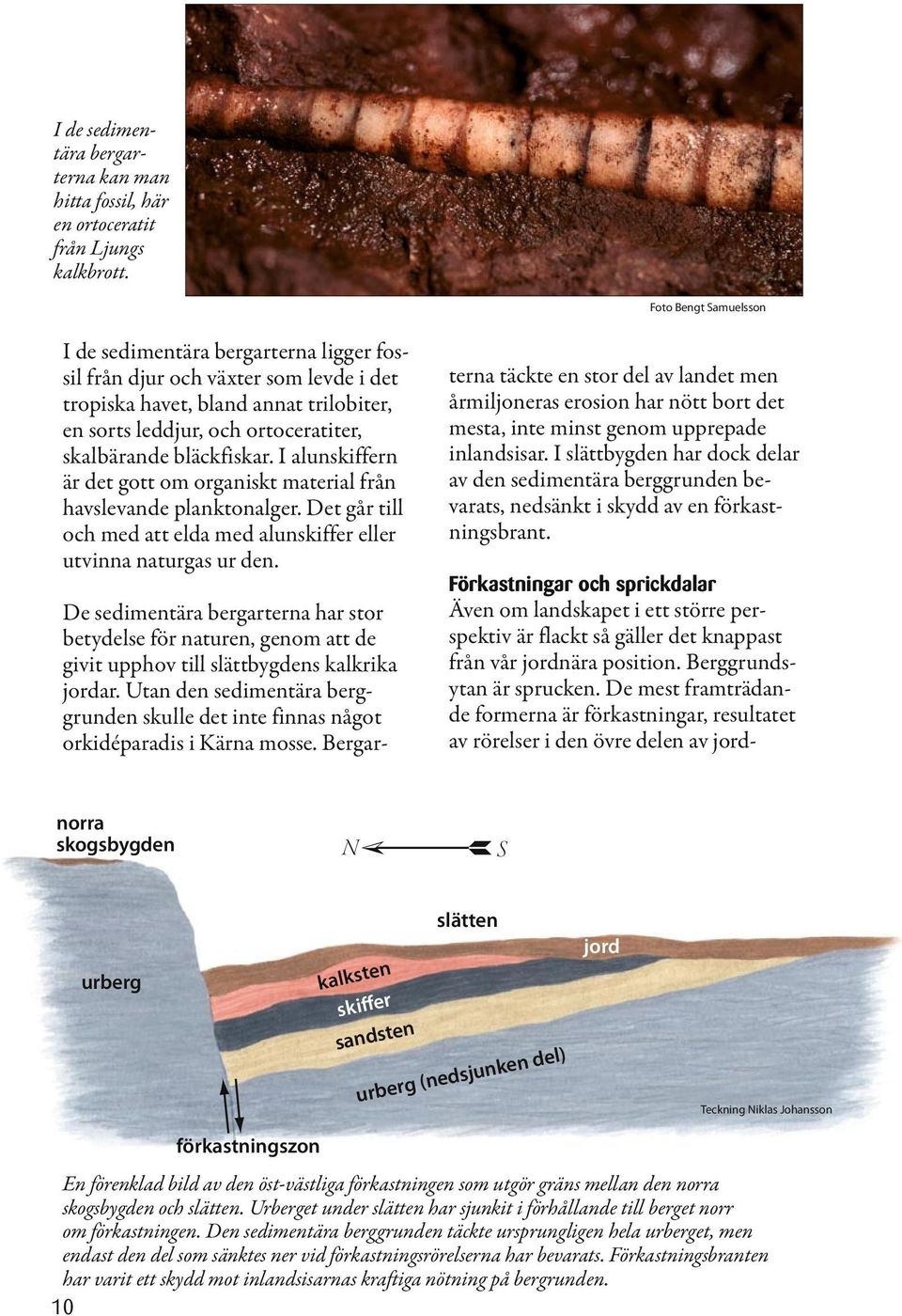 bläckfiskar. I alunskiffern är det gott om organiskt material från havslevande planktonalger. Det går till och med att elda med alunskiffer eller utvinna naturgas ur den.