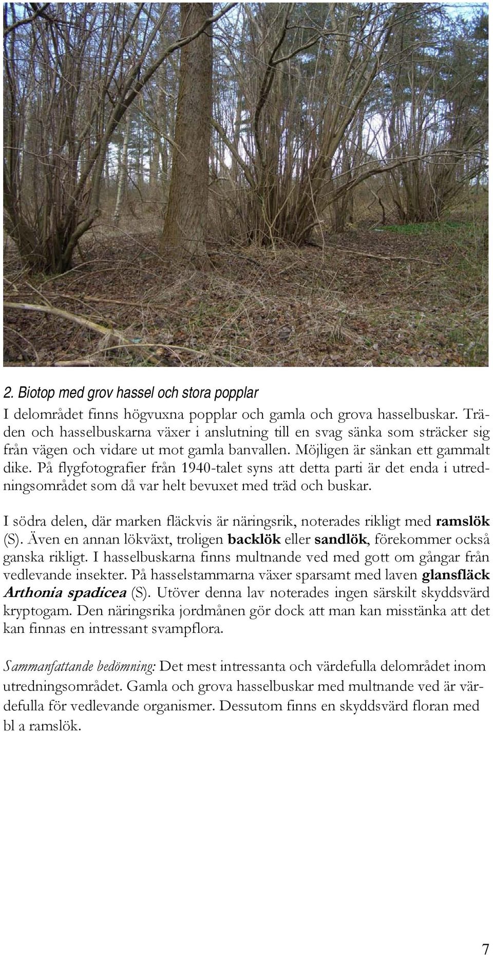På flygfotografier från 1940-talet syns att detta parti är det enda i utredningsområdet som då var helt bevuxet med träd och buskar.
