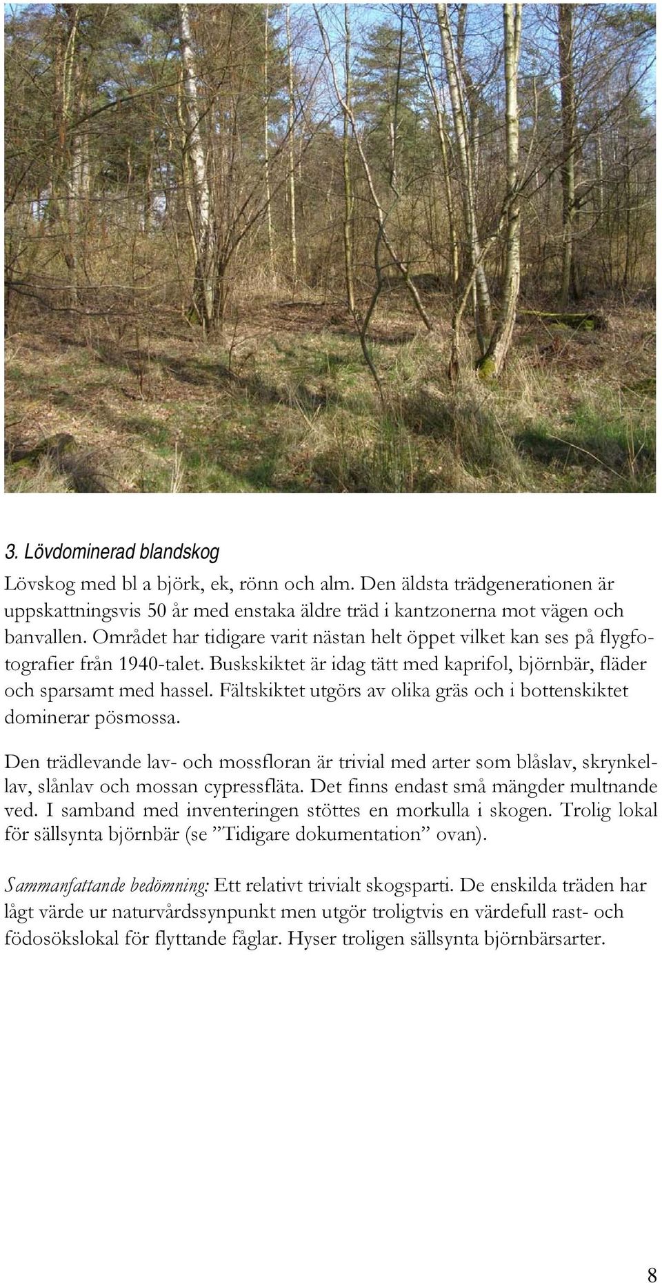 Fältskiktet utgörs av olika gräs och i bottenskiktet dominerar pösmossa. Den trädlevande lav- och mossfloran är trivial med arter som blåslav, skrynkellav, slånlav och mossan cypressfläta.