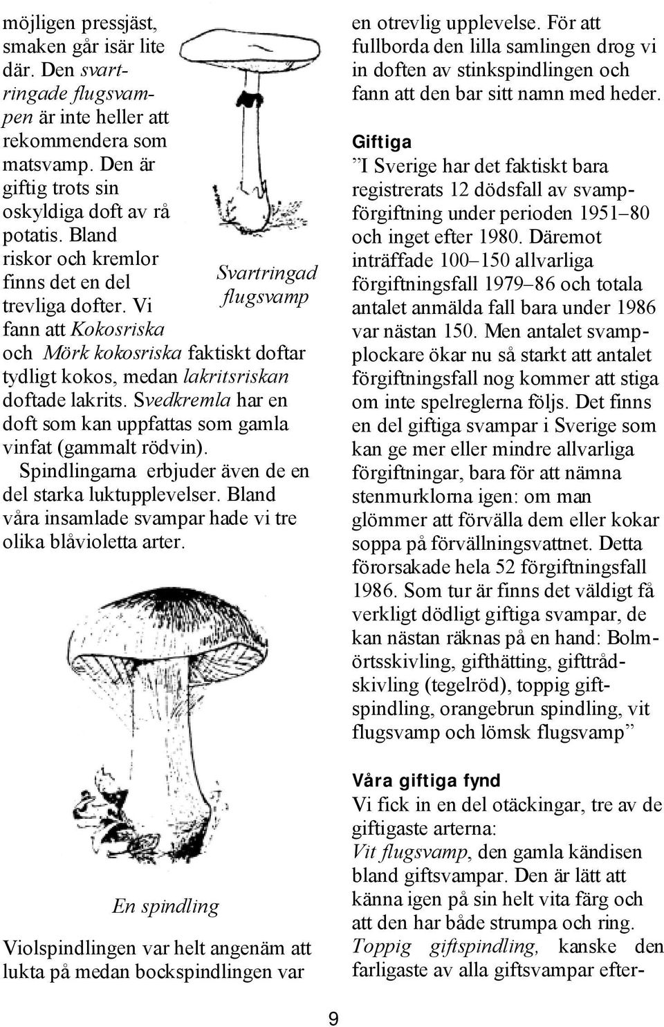 Svedkremla har en doft som kan uppfattas som gamla vinfat (gammalt rödvin). Spindlingarna erbjuder även de en del starka luktupplevelser.