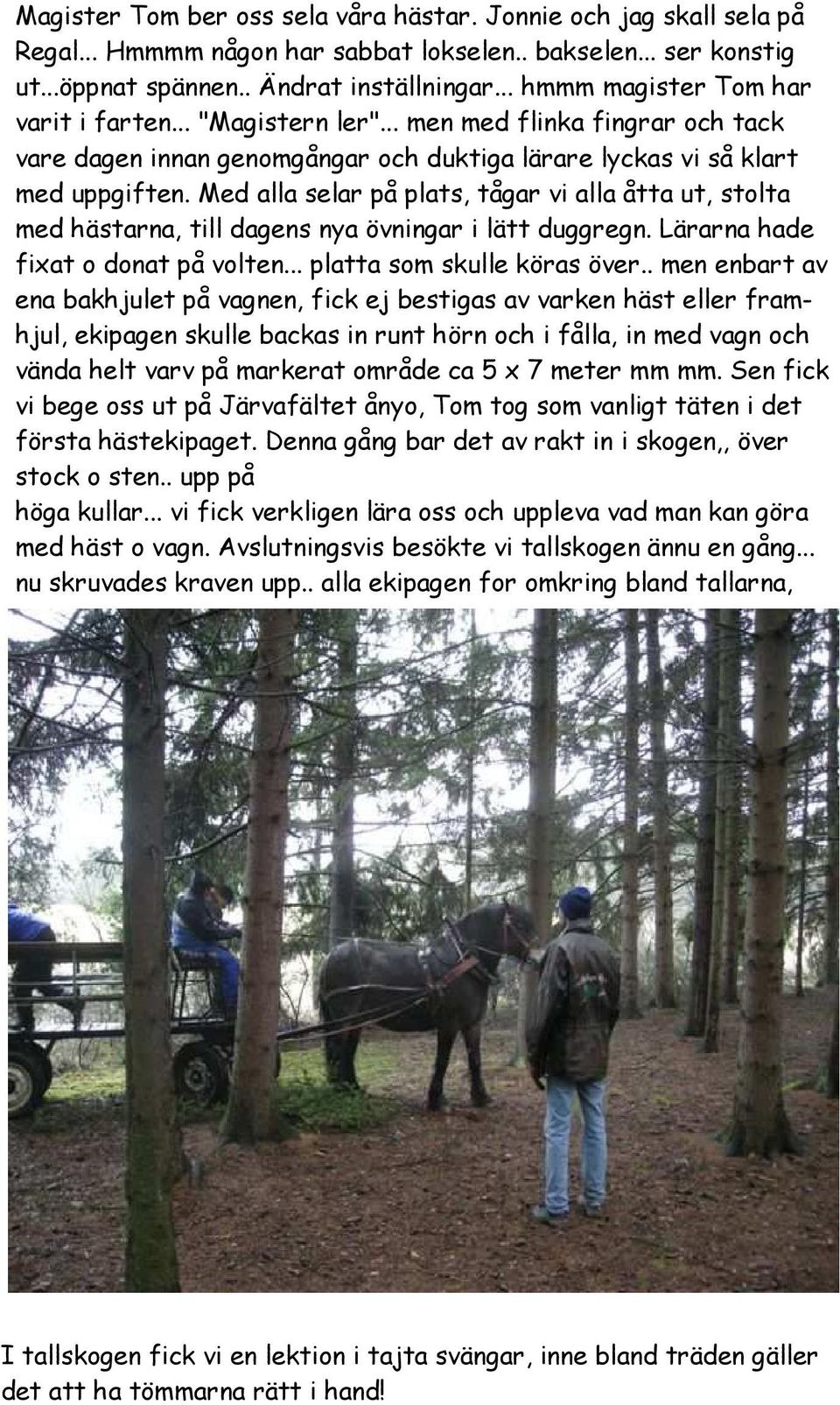 Med alla selar på plats, tågar vi alla åtta ut, stolta med hästarna, till dagens nya övningar i lätt duggregn. Lärarna hade fixat o donat på volten... platta som skulle köras över.