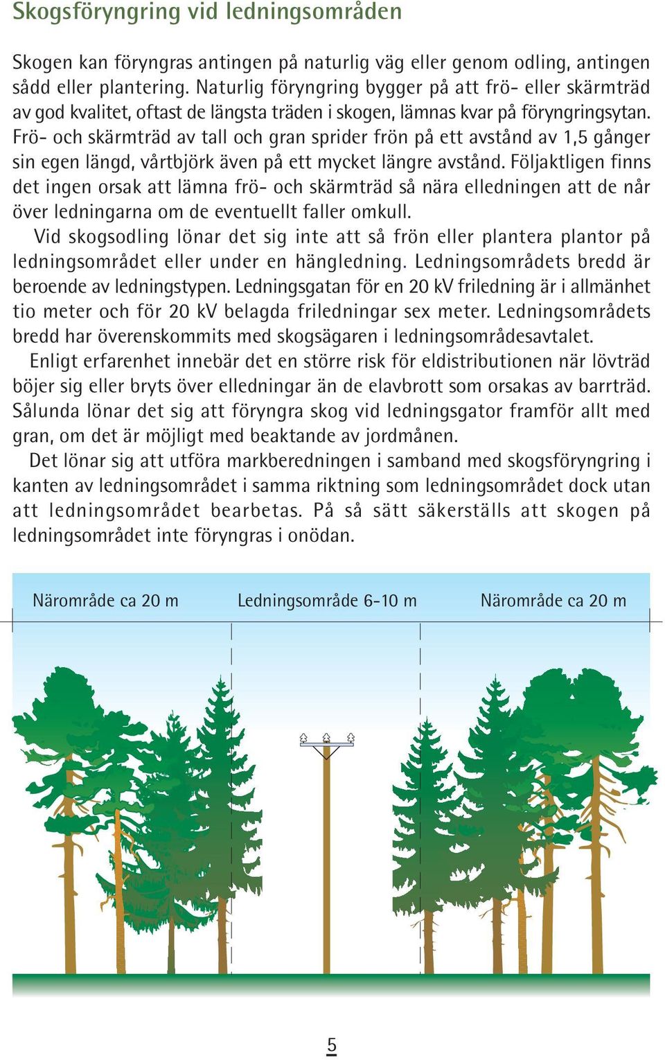 Frö- och skärmträd av tall och gran sprider frön på ett avstånd av 1,5 gånger sin egen längd, vårtbjörk även på ett mycket längre avstånd.