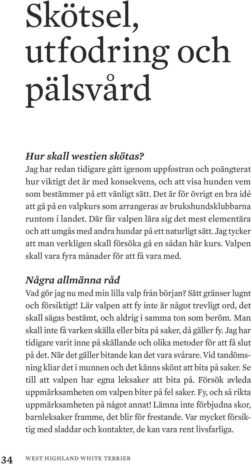Det är för övrigt en bra idé att gå på en valpkurs som arrangeras av brukshundsklubbarna runtom i landet.