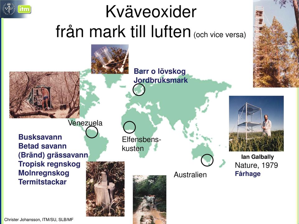 (Bränd) grässavann Tropisk regnskog Molnregnskog