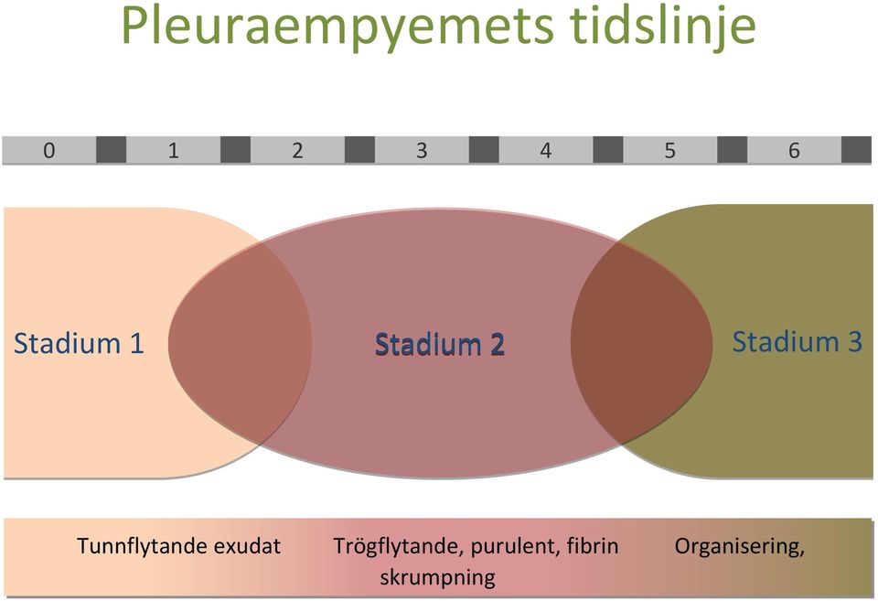 Tunnflytande exudat Trögflytande,