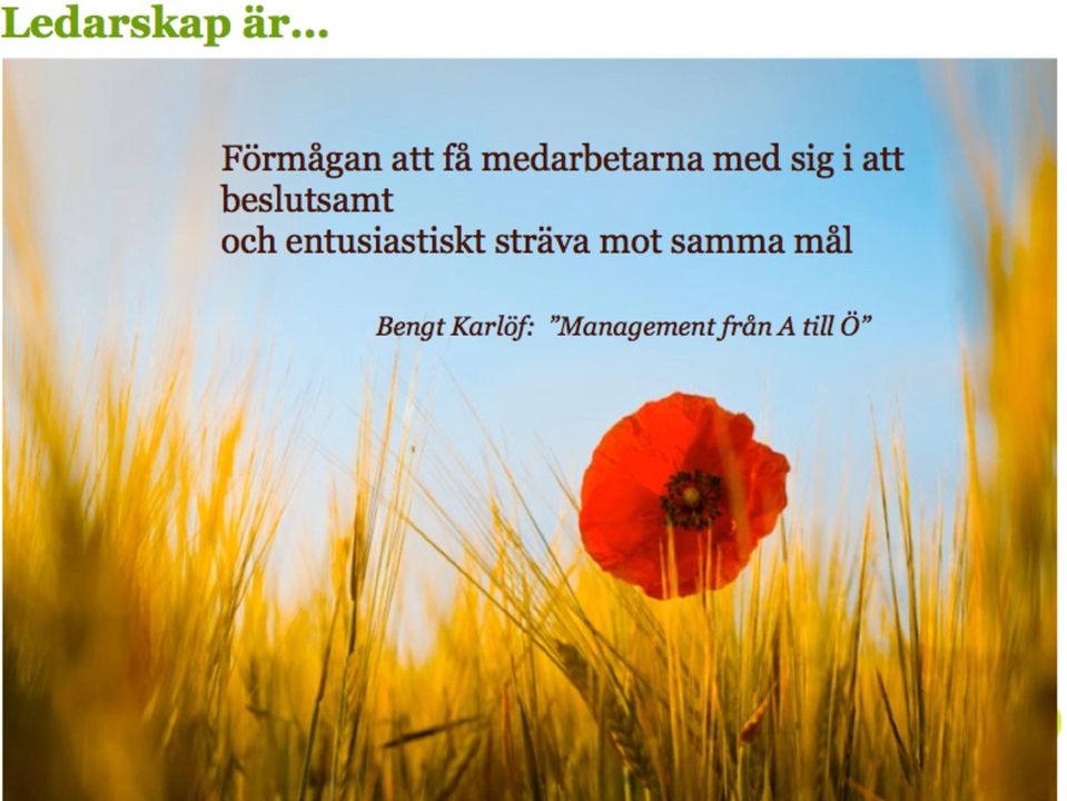 Känn din ledarstil En ledare i balans Mod och