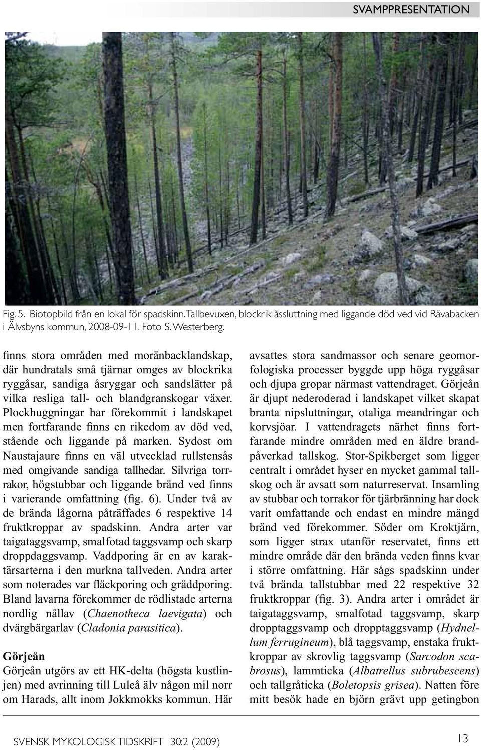 Plockhuggningar har förekommit i landskapet men fortfarande finns en rikedom av död ved, stående och liggande på marken.