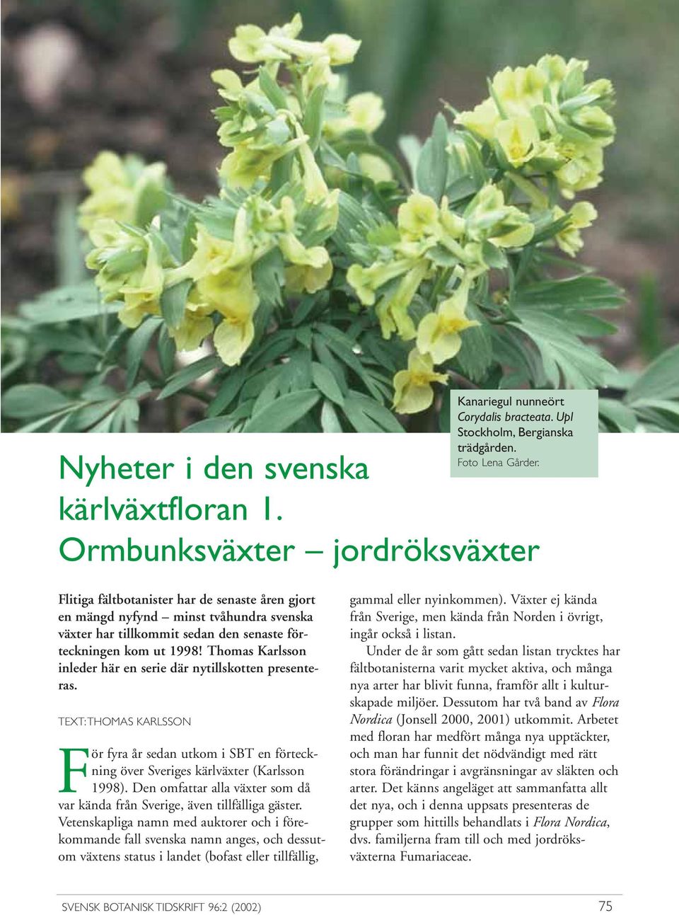 Thomas Karlsson inleder här en serie där nytillskotten presenteras. TEXT: THOMAS KARLSSON För fyra år sedan utkom i SBT en förteckning över Sveriges kärlväxter (Karlsson 1998).
