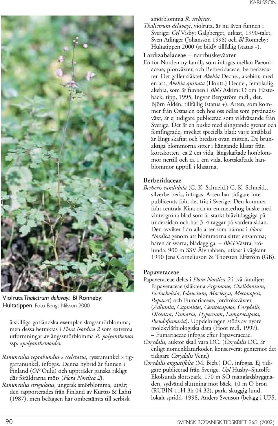 Lardizabalaceae narrbuskeväxter En för Norden ny familj, som infogas mellan Paeoni - aceae, pionväxter, och Berberidaceae, berberisväxter. Det gäller släktet Akebia Decne.