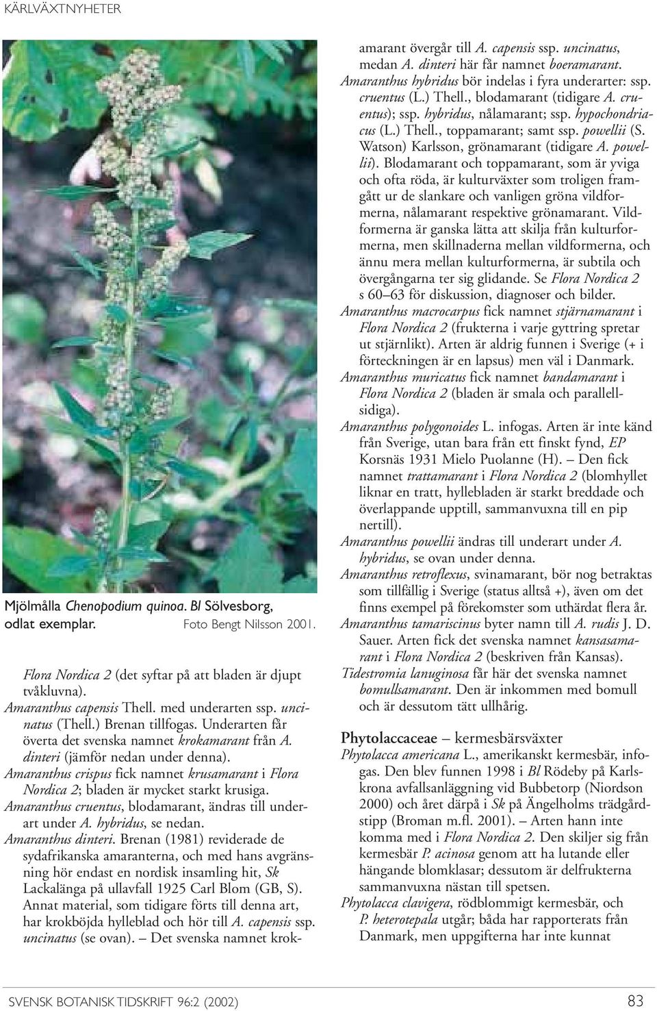 Amaranthus crispus fick namnet krusamarant i Flora Nordica 2; bladen är mycket starkt krusiga. Amaranthus cruentus, blodamarant, ändras till underart under A. hybridus, se nedan. Amaranthus dinteri.
