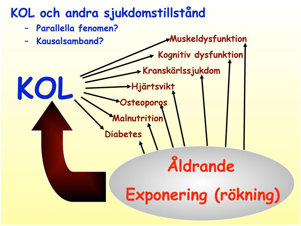 Muskeldysfunktion Kognitiv dysfunktion KOL