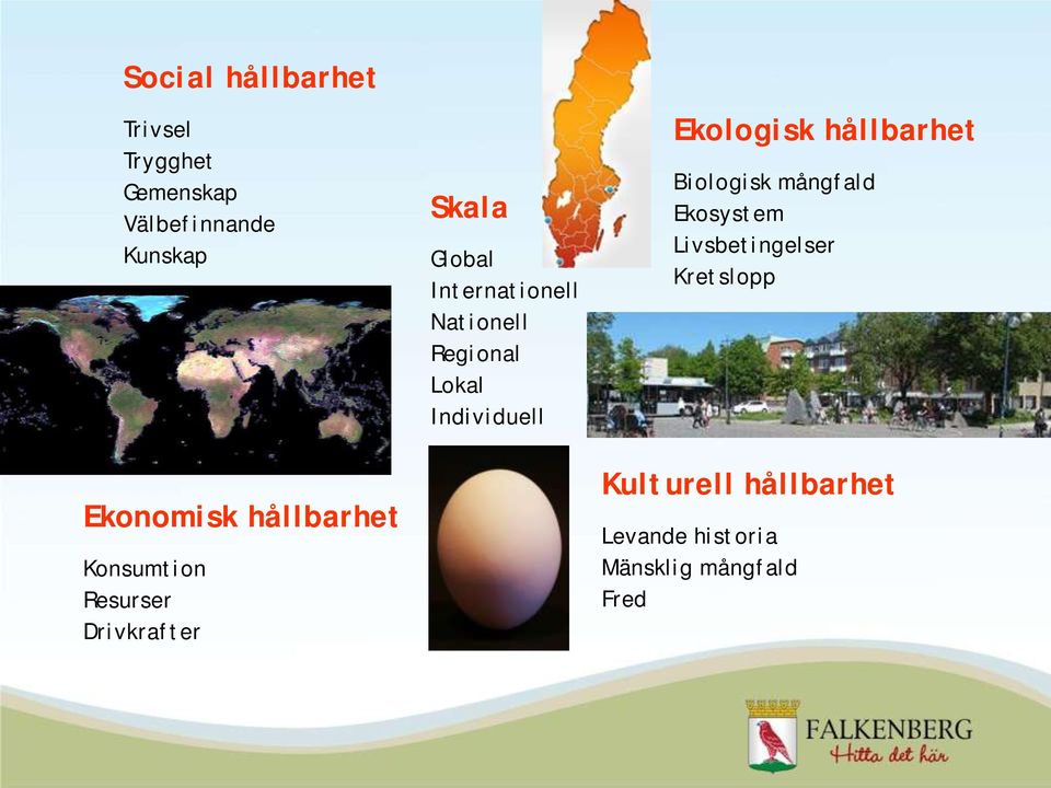 Regional Lokal Individuell Ekologisk hållbarhet Biologisk mångfald Ekosystem