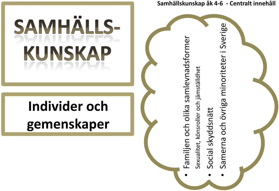 könsroller och jämställdhet Social skyddsnätt
