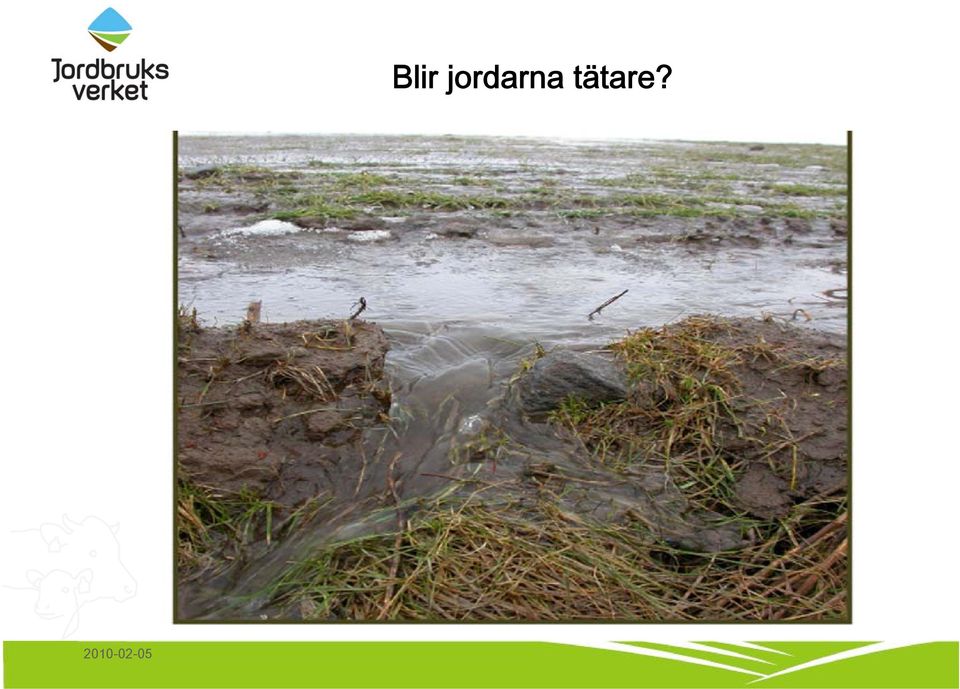 tätare?