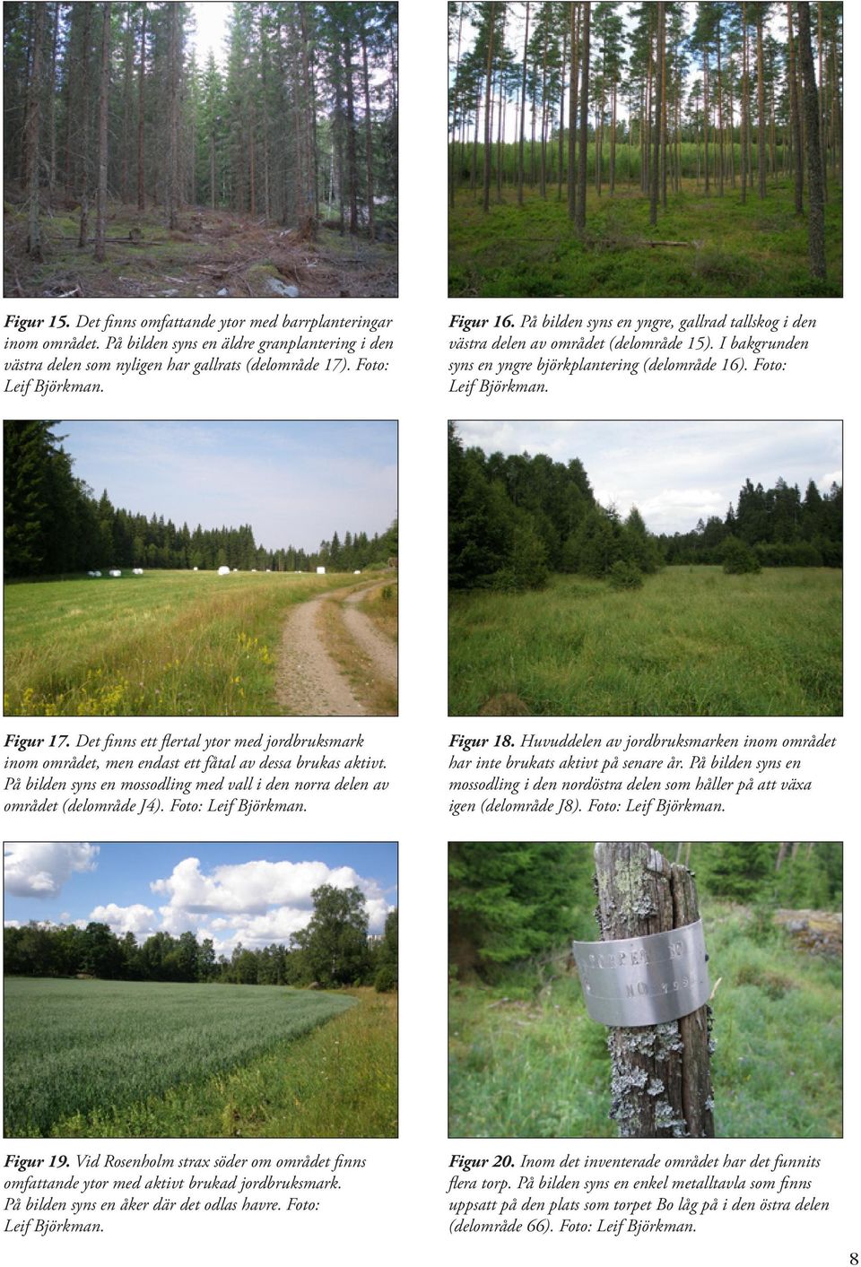 Det finns ett flertal ytor med jordbruksmark inom området, men endast ett fåtal av dessa brukas aktivt. På bilden syns en mossodling med vall i den norra delen av området (delområde J4).