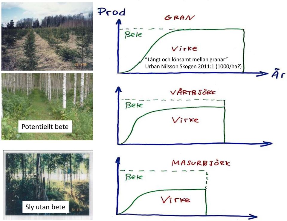 Skogen 2011:1 (1000/ha?