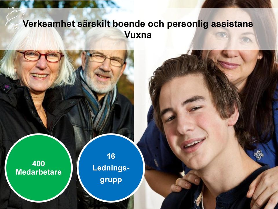 assistans Vuxna 400