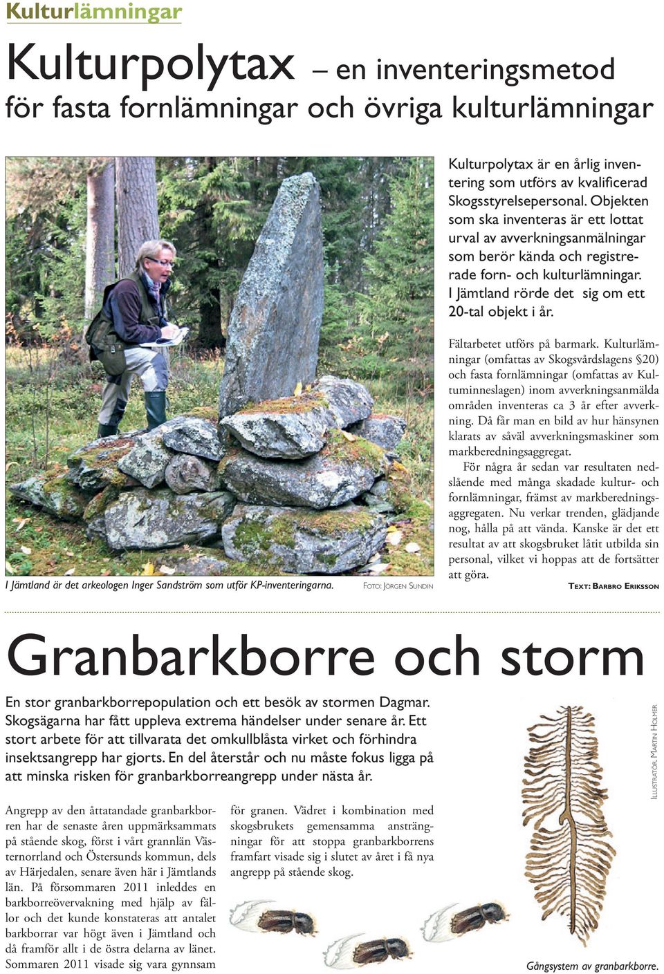 I Jämtland är det arkeologen Inger Sandström som utför KP-inventeringarna. Foto: Jörgen Sundin Fältarbetet utförs på barmark.