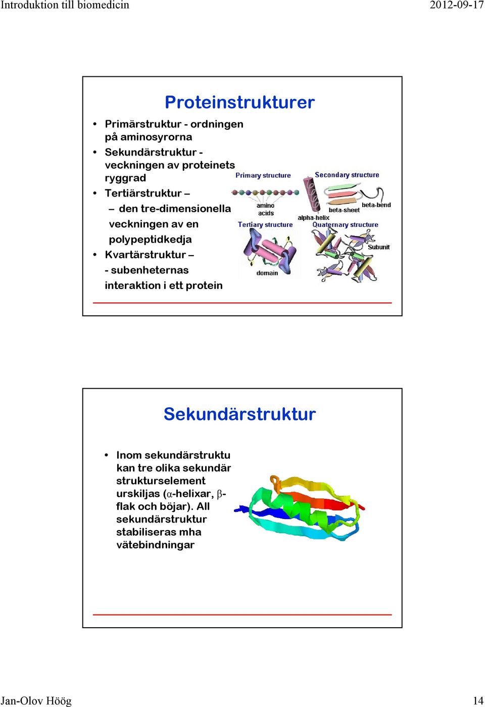 subenheternas interaktion i ett protein Sekundärstruktur Inom sekundärstruktur kan tre olika
