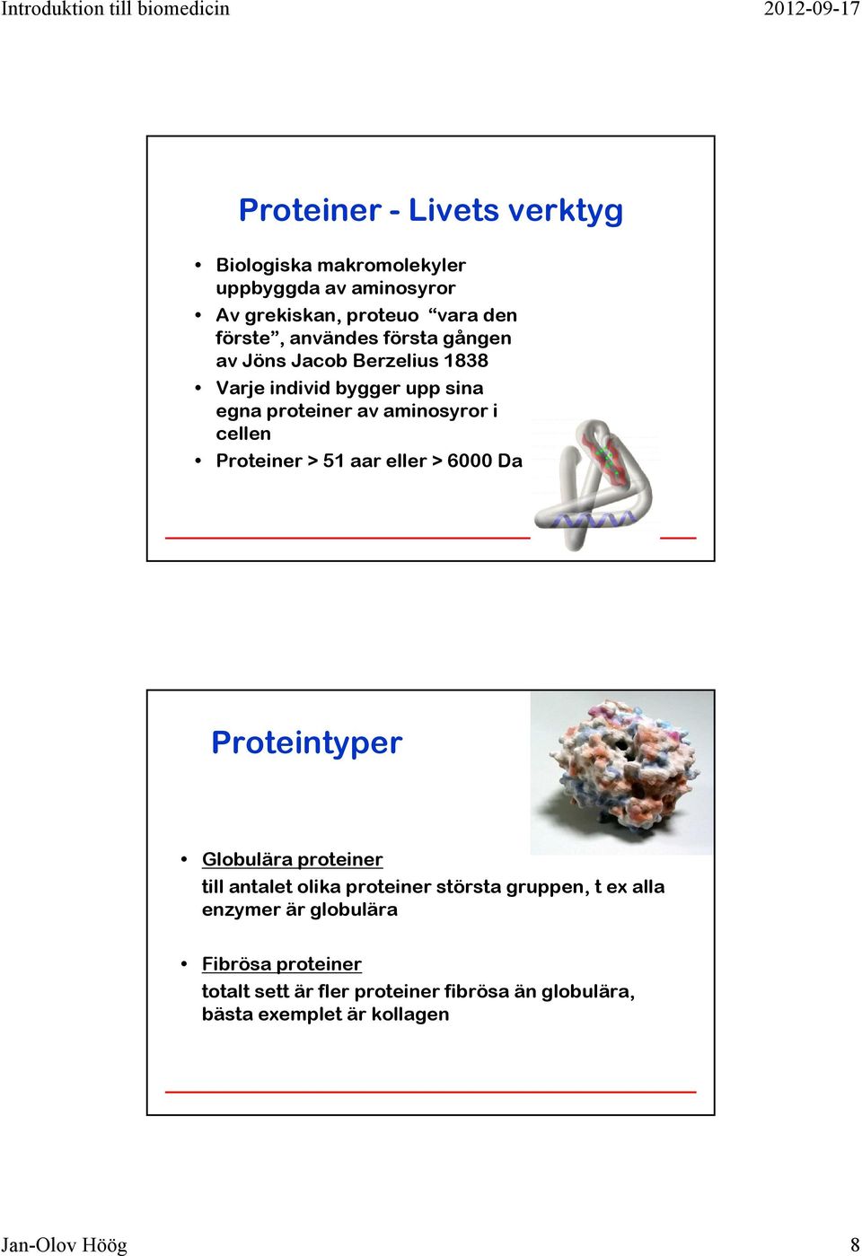 Proteiner > 51 aar eller > 6000 Da Proteintyper Globulära proteiner till antalet olika proteiner största gruppen, t ex alla