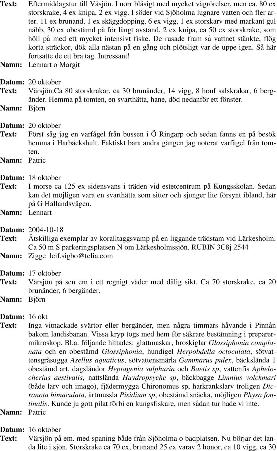 De rusade fram så vattnet stänkte, flög korta sträckor, dök alla nästan på en gång och plötsligt var de uppe igen. Så här fortsatte de ett bra tag. Intressant!
