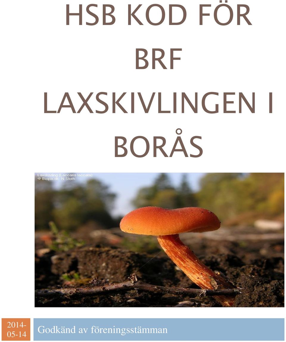 BORÅS 2014-05-14