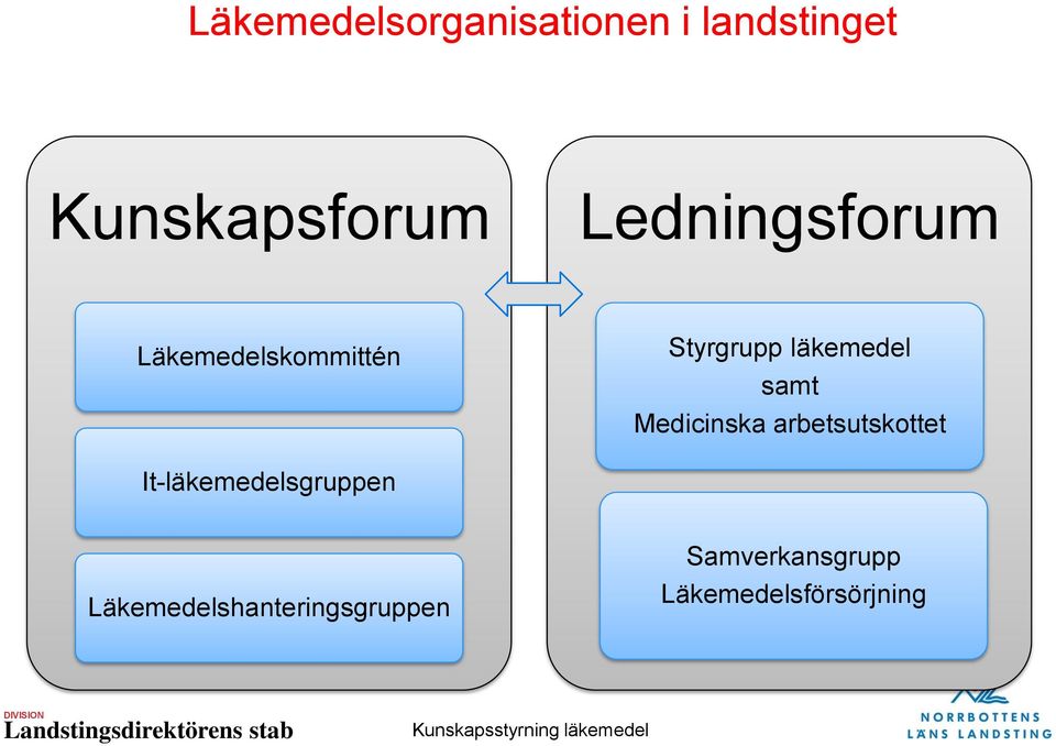 Medicinska arbetsutskottet It-läkemedelsgruppen