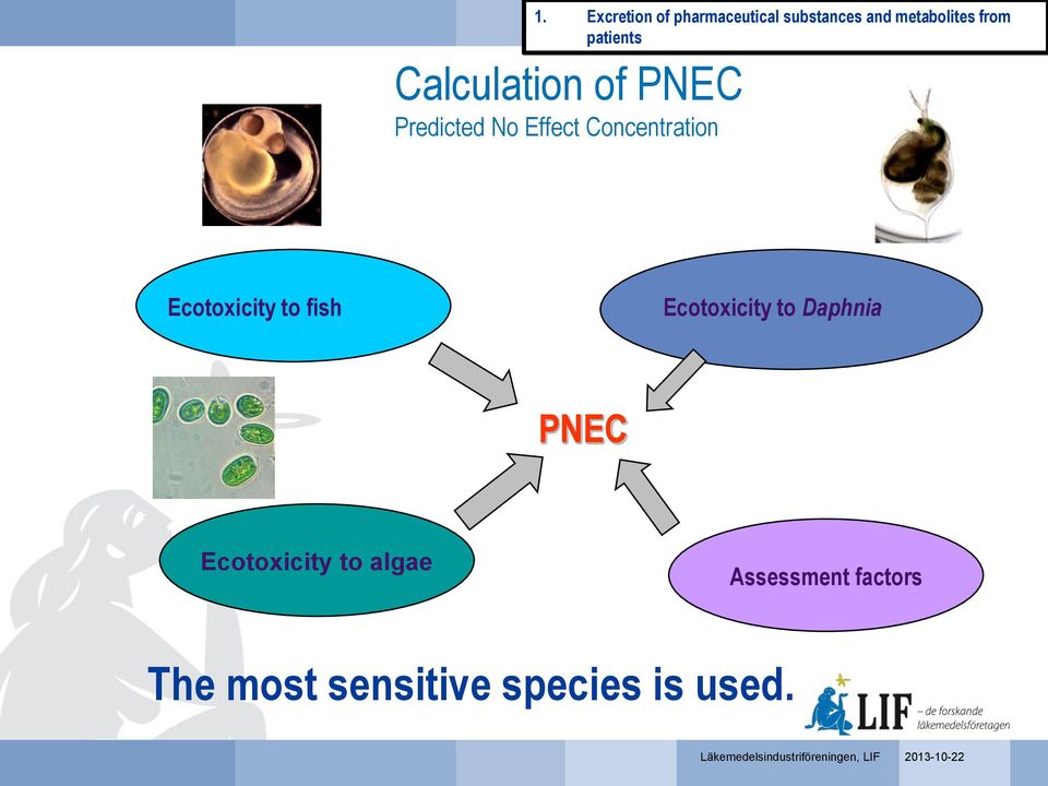 Ecotoxicity to Daphnia PNEC Ecotoxicity to algae Assessment factors The