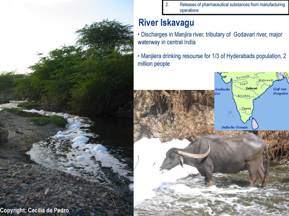 Godavari river, major waterway in central India Manjiera drinking
