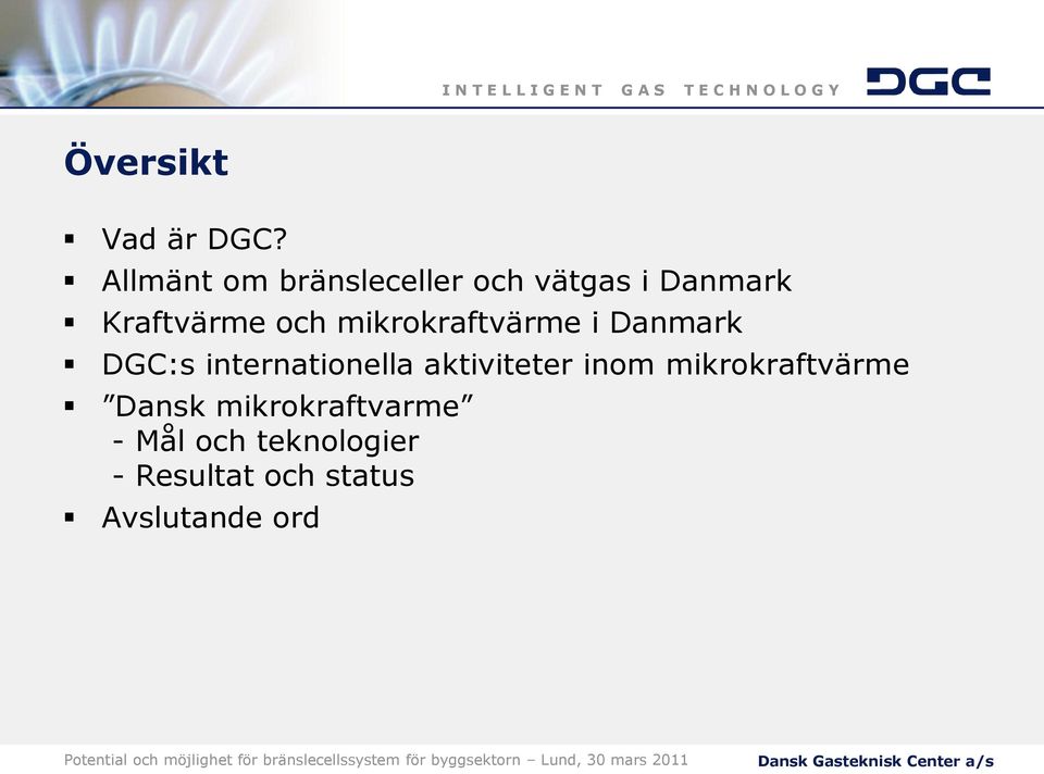 mikrokraftvärme i Danmark DGC:s internationella aktiviteter