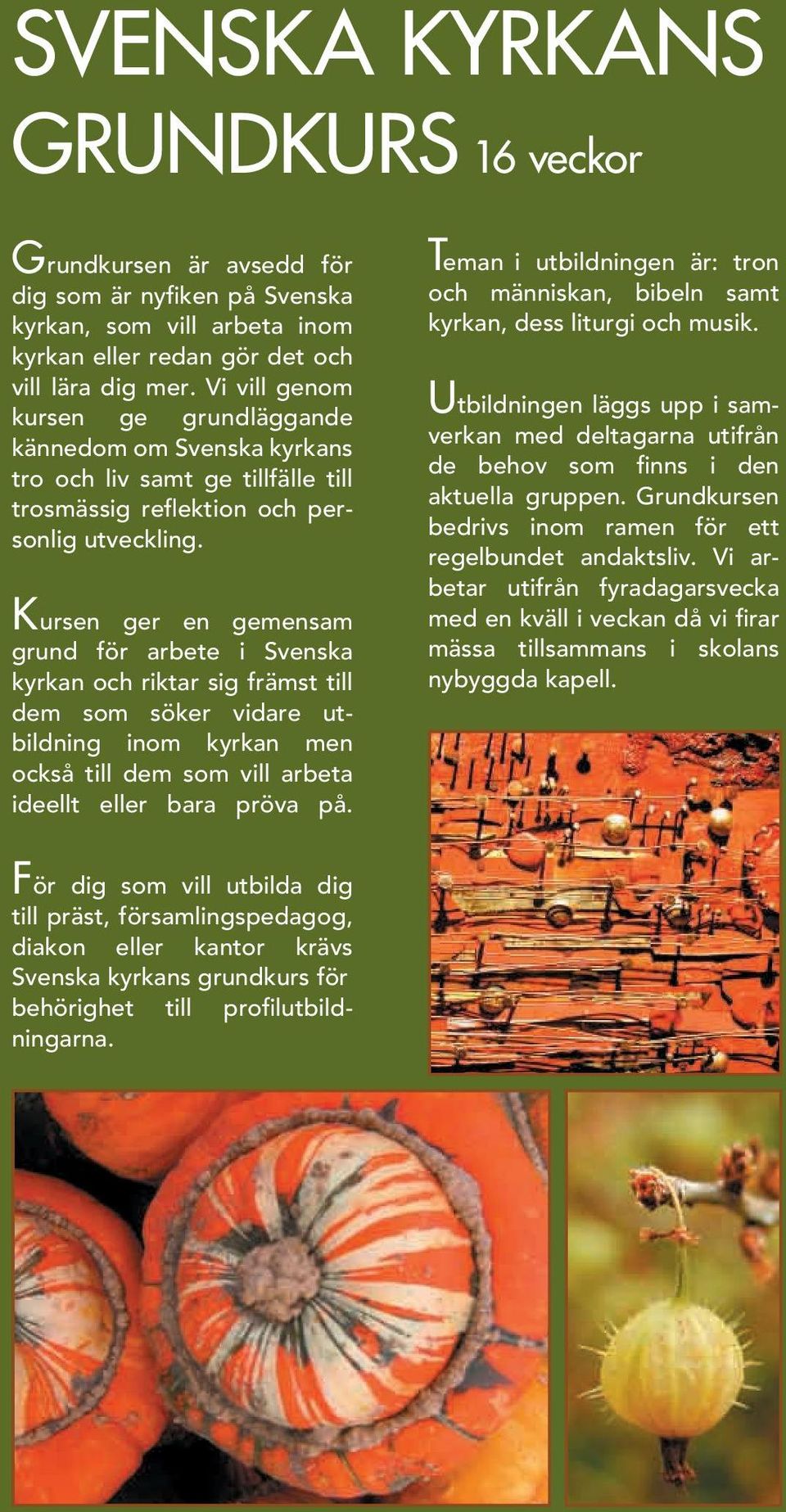 Kursen ger en gemensam grund för arbete i Svenska kyrkan och riktar sig främst till dem som söker vidare utbildning inom kyrkan men också till dem som vill arbeta ideellt eller bara pröva på.