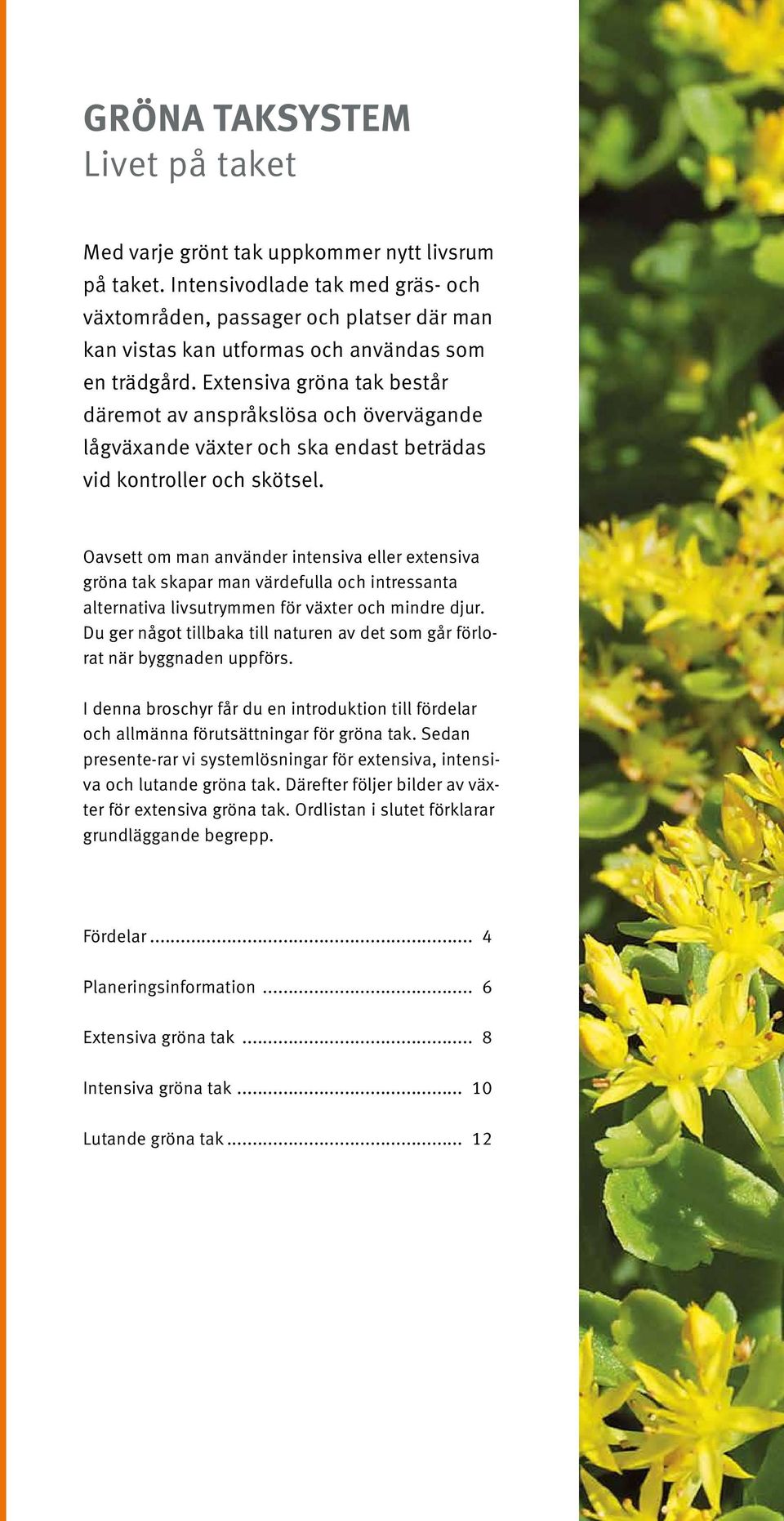 Extensiva gröna tak består däremot av anspråkslösa och övervägande lågväxande växter och ska endast beträdas vid kontroller och skötsel.