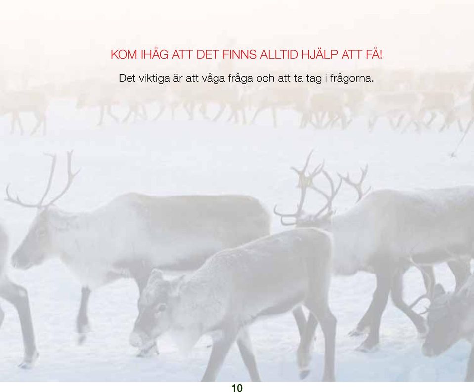 Det viktiga är att våga